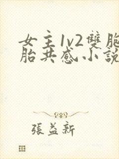 女主1v2双胞胎共感小说