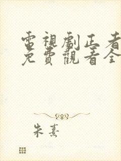 电视剧正者无敌免费观看全集