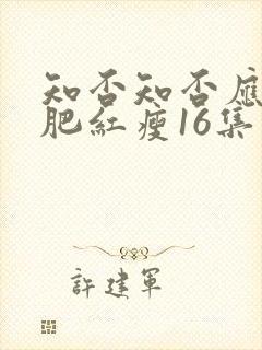 知否知否应是绿肥红瘦16集