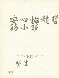 安心怡赵哲赵睿的小说