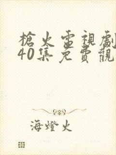 枪火电视剧1至40集免费观看