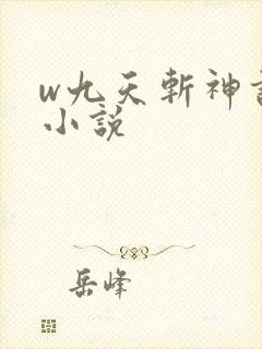 w九天斩神诀》小说