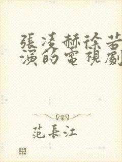 张凌赫徐若晗主演的电视剧