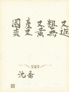 国产又粗又猛又爽又黄无遮挡