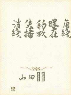 消失的眼角膜在线播放在线观看