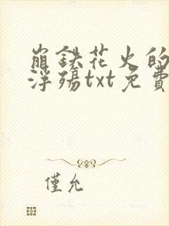 崩铁花火的堕落浮殇txt免费阅读