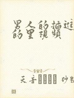 男人的插进女人的里视频