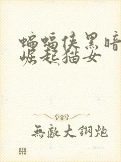 蝙蝠侠黑暗骑士崛起猫女