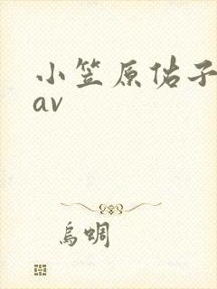 小笠原佑子拍的av