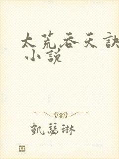 太荒吞天诀小说 小说