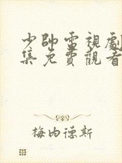 少帅电视剧48集免费观看高清