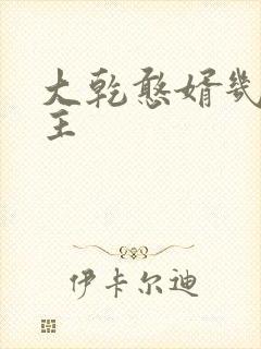 大乾憨婿几个女主