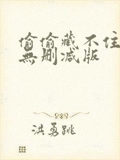 偷偷藏不住小说无删减版