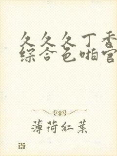 久久久丁香婷婷综合色啪官网封面