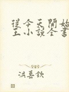 从今天开始做藩王小说全书封面