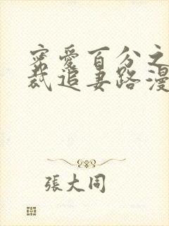 密爱百分之百总裁追妻路漫漫