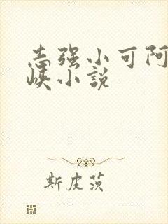 志强小可阿梅三峡小说封面
