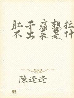 肚子痛想拉又拉不出来是什么原因