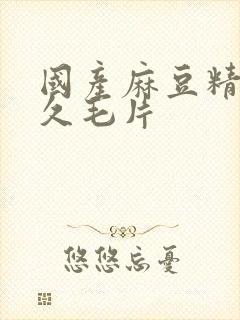 国产麻豆精品久久毛片