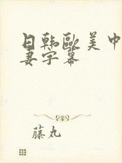 日韩欧美中文人妻字幕