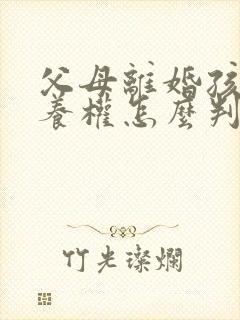 父母离婚孩子抚养权怎么判定