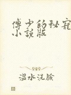 傅少的秘宠娇妻小说版