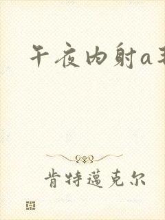 午夜内射a毛片封面
