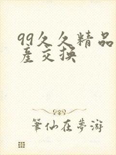 99久久精品国产交换
