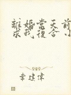 离婚当天前夫跪求我复合 小说阅读