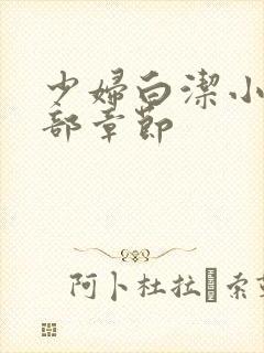 少妇白洁小说全部章节