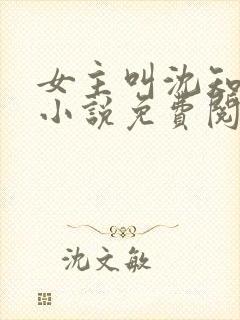 女主叫沈知薇的小说免费阅读封面