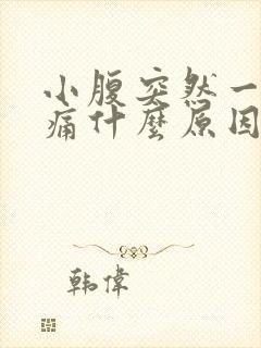 小腹突然一阵刺痛什么原因