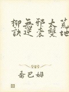 柳无邪太荒吞天诀逆袭双地圣封面