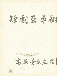 短剧至尊驸马爷