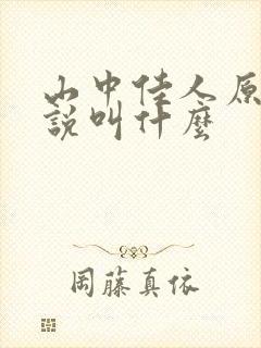 山中佳人原著小说叫什么