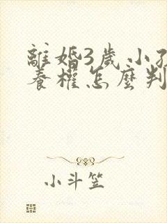 离婚3岁小孩抚养权怎么判定