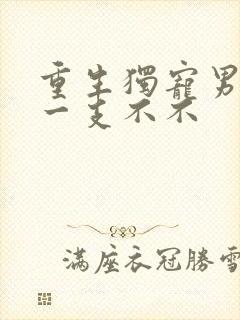 重生独宠男妻 一支不不