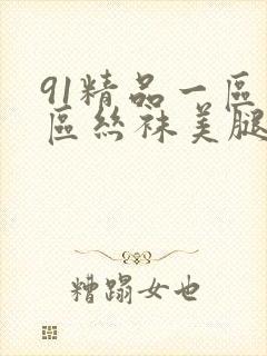 91精品一区二区丝袜美腿封面