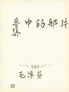 梦中的那片海几集