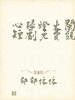 心归灯火阑珊处短剧免费观看封面