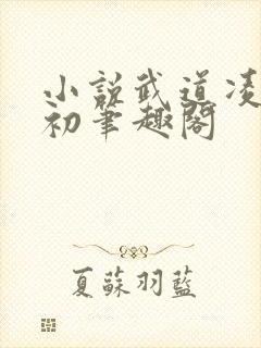 小说武道凌天秦初笔趣阁