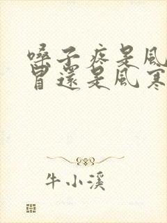 嗓子疼是风热感冒还是风寒感冒封面