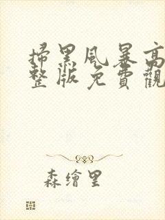 扫黑风暴高清完整版免费观看28集