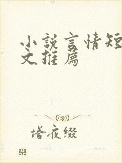 小说言情短篇甜文推荐