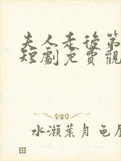 夫人走后第三年短剧免费观看