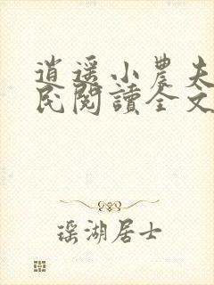 逍遥小农夫小农民阅读全文小说