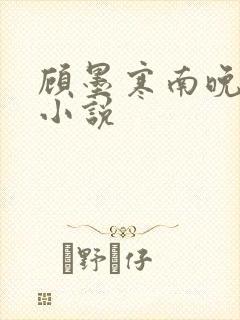 顾墨寒南晚烟的小说封面