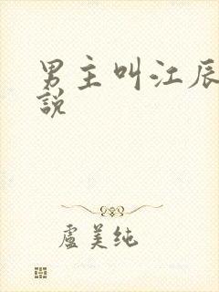 男主叫江辰的小说