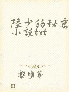陆少的秘密恋人小说txt