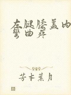 左腿膝盖内侧筋弯曲疼